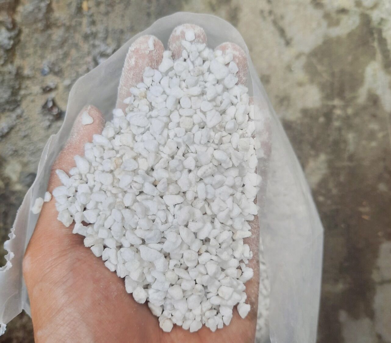 Đá perlite 100gram