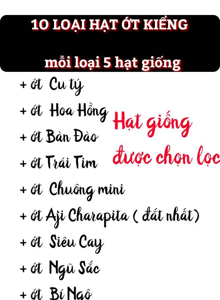 HẠT GIỐNG 10 LOẠI HẠT ỚT KIỂNG