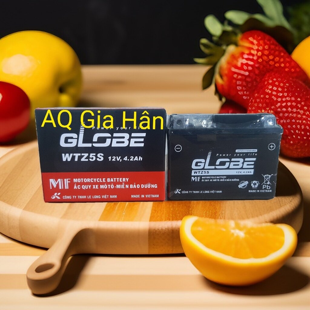 Chính Hãng Ắc quy Globe WTZ5S 12V - 4.2Ah. DxRxC: 113x70x86