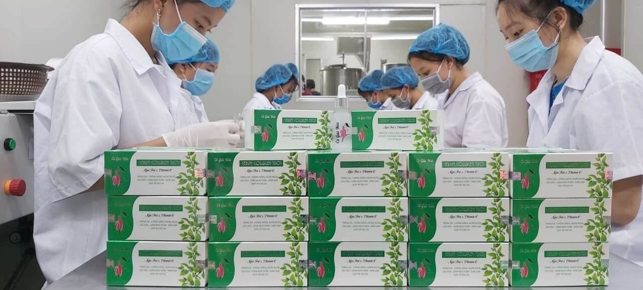 Serum colagen cô gái núi