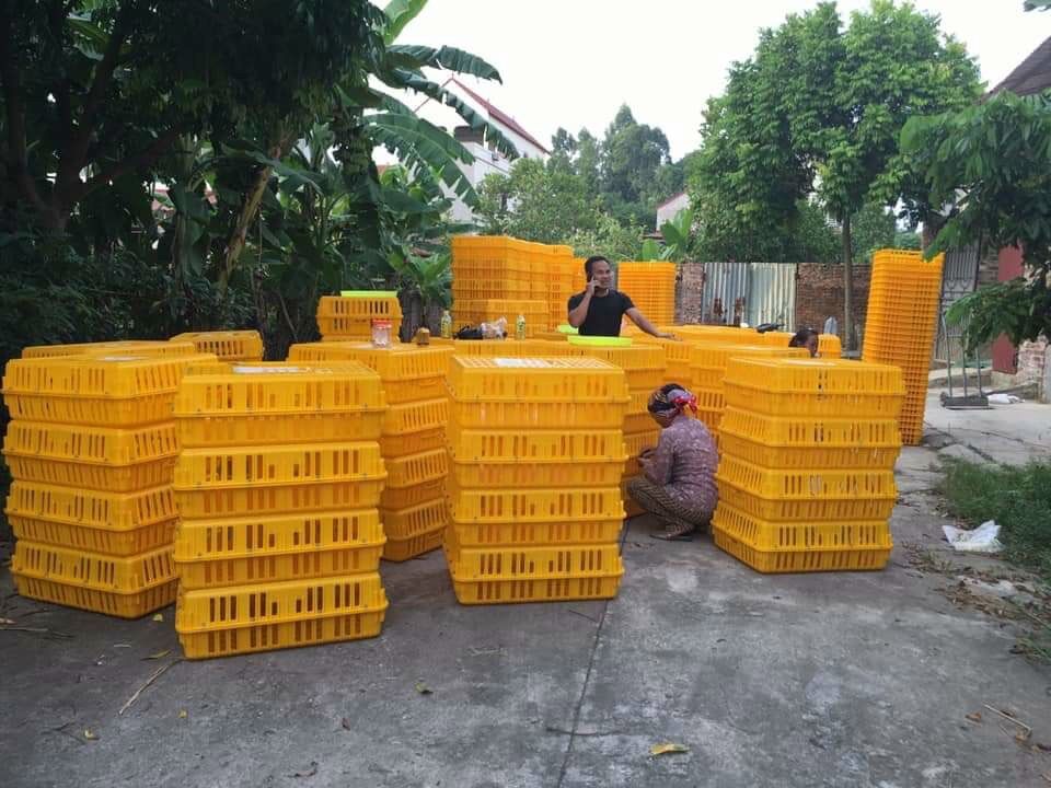 Lồng nhốt gà