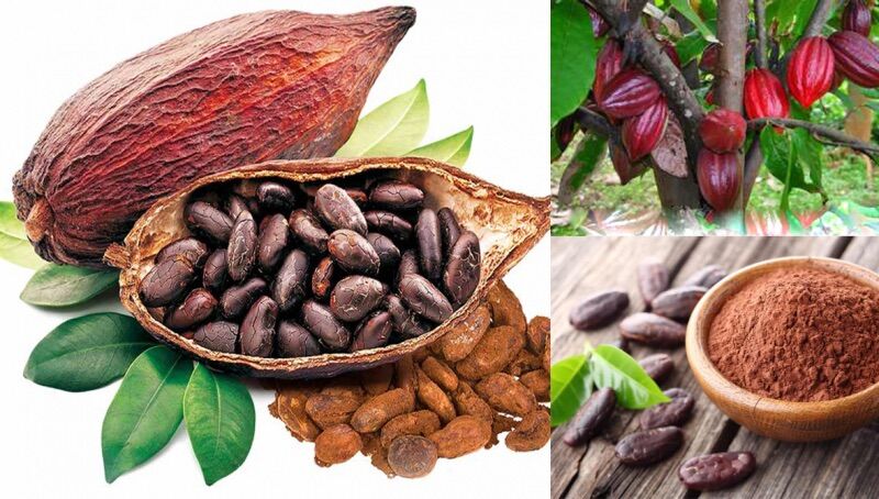 Bột cacao nguyên chất Đắk Lắk 500gr