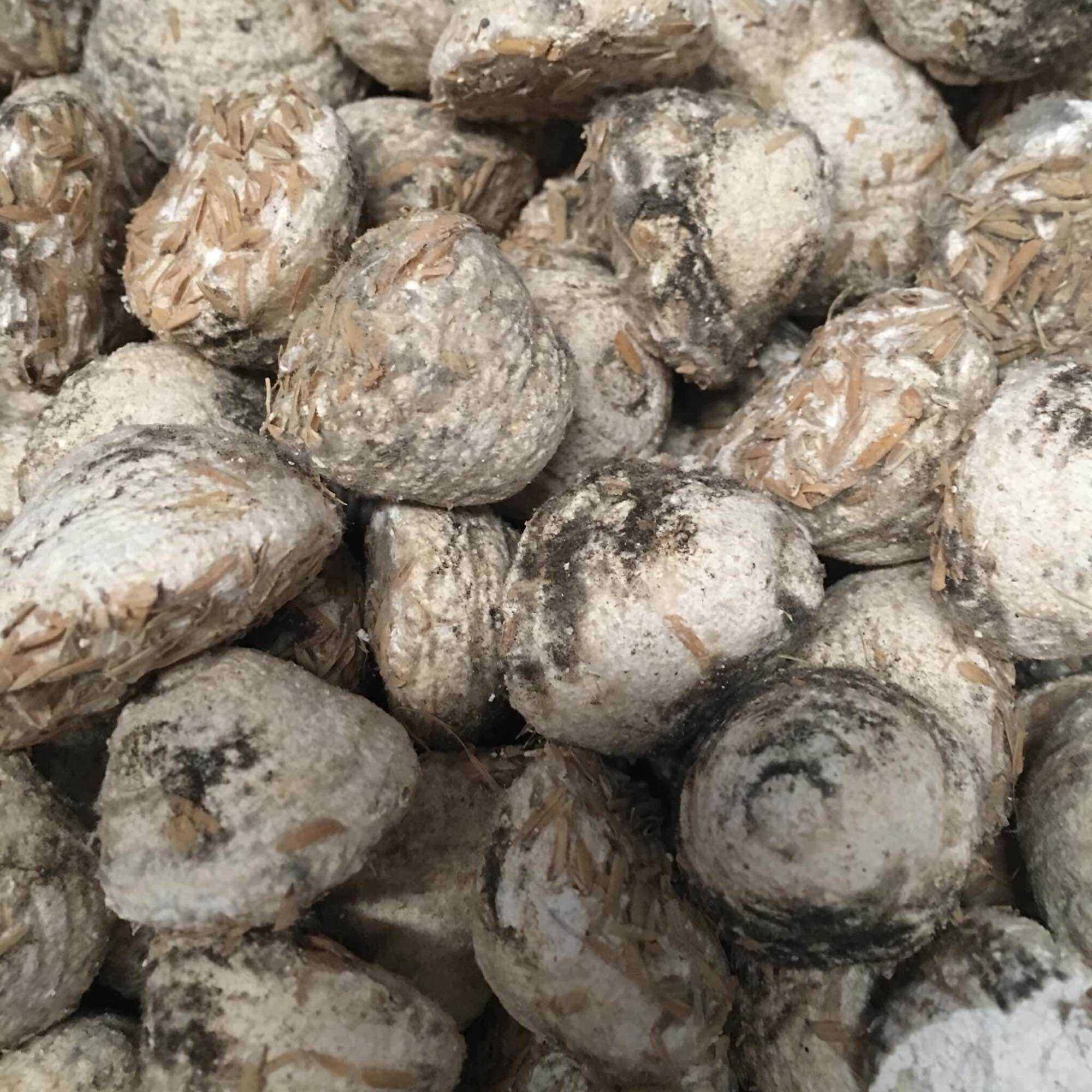 Làm Cơm Rượu Nếp Cái, Nếp Cẩm gói 500g có 70 viên