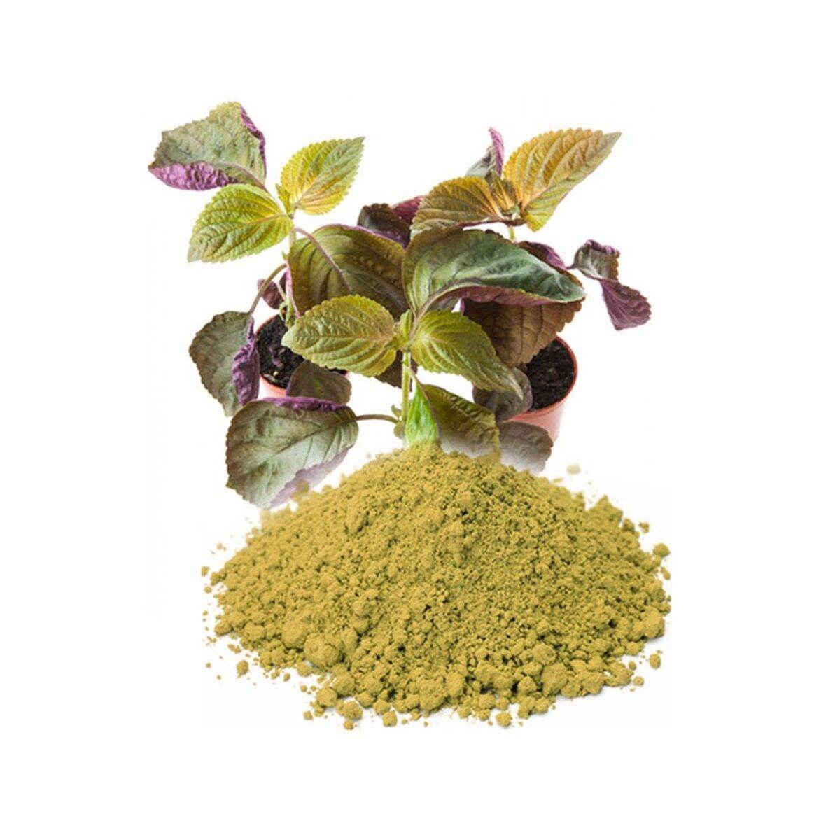 BỘT TÍA TÔ 100G - CVDMART