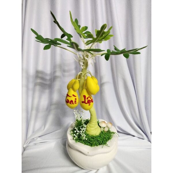 Chậu đu đủ tài lộc đất sét cao 30cm