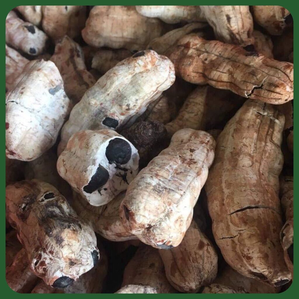 Quả chuối cô đơn 1KG - 1KG
