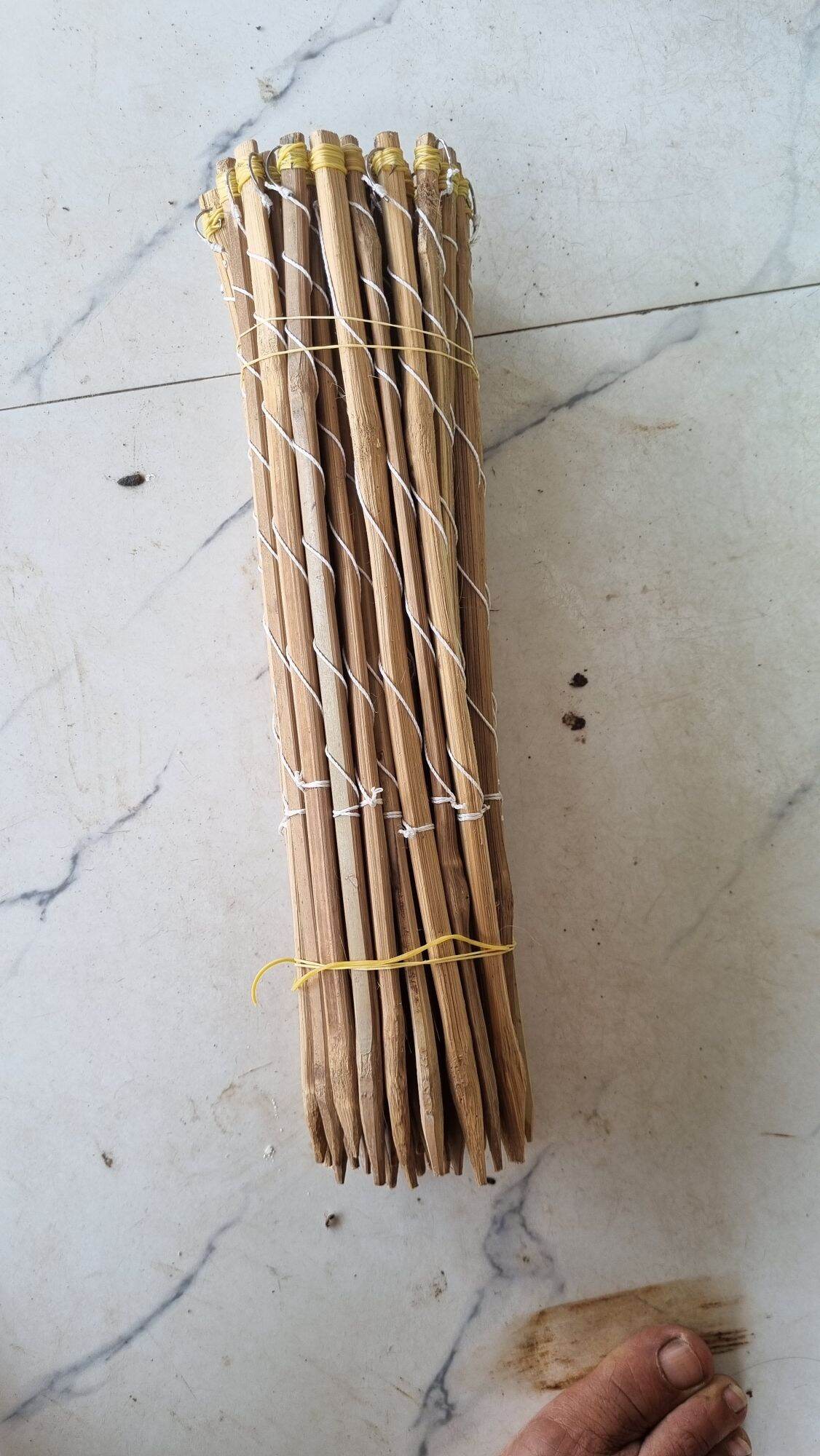 50 CẦN CÂU CẮM ẾCH TÓM SẴN
