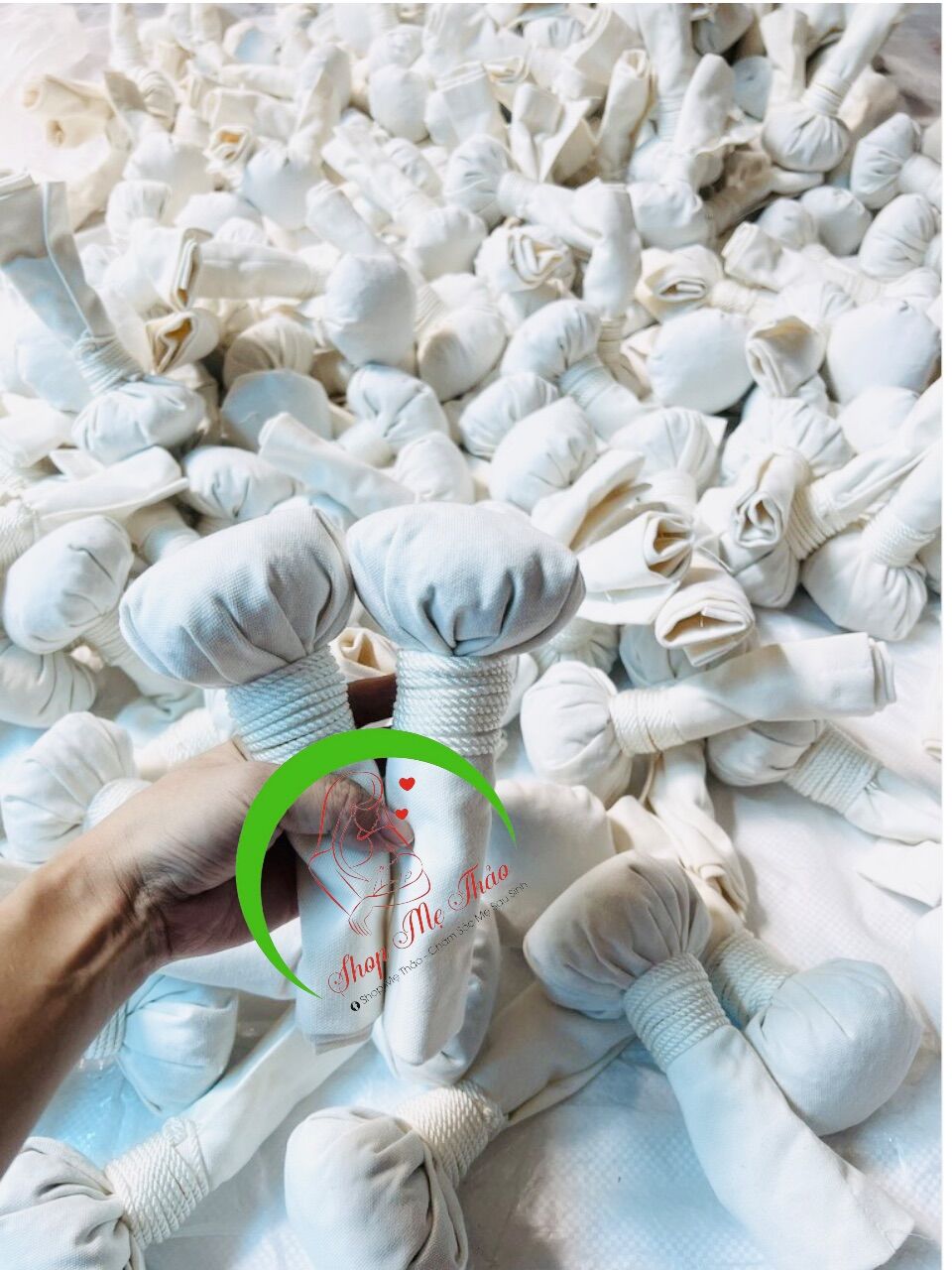 CÂY MUỐI CHƯỜM MẮT THẢO DƯỢC