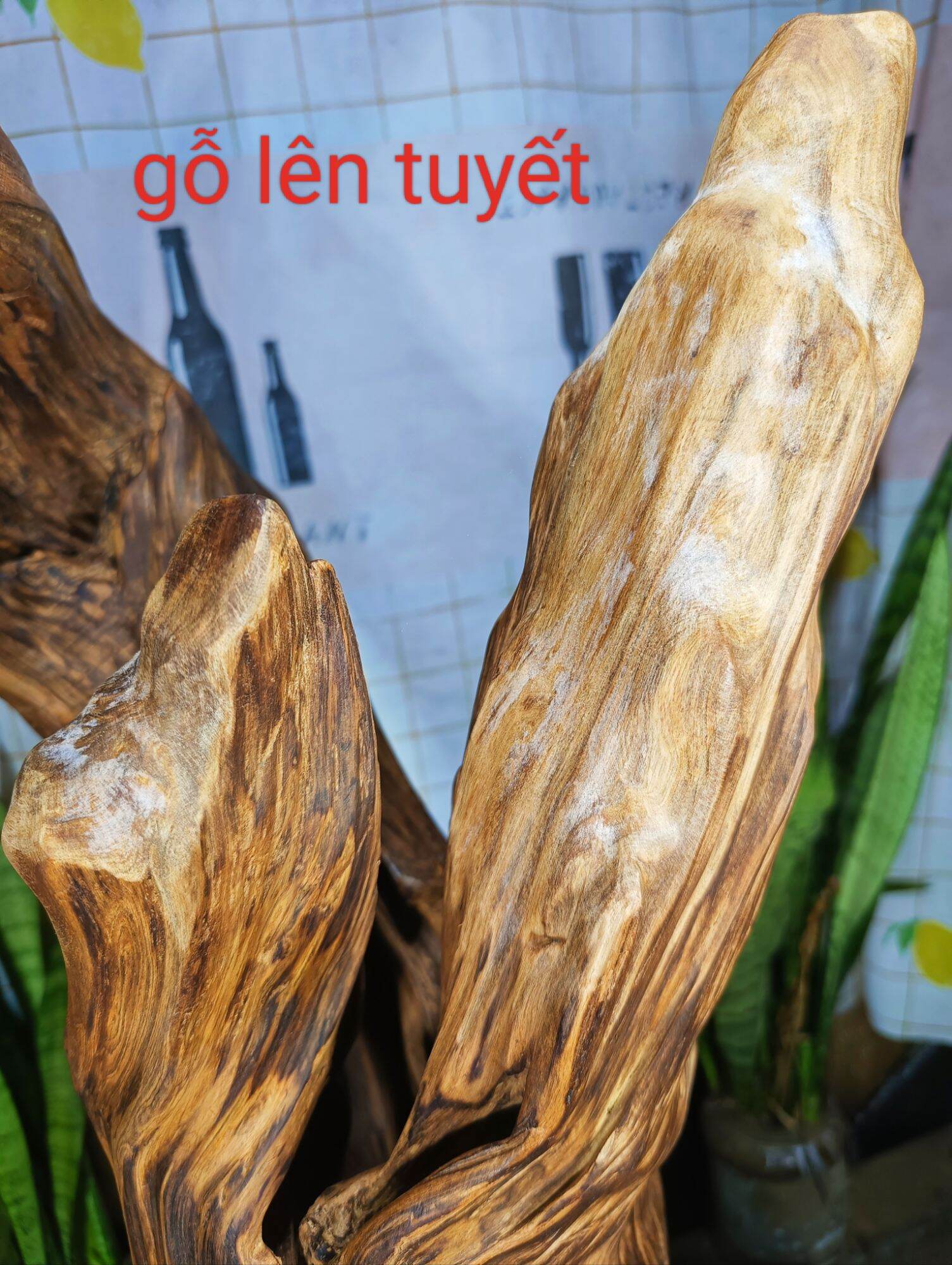 lũa gỗ thơm ngọc am đỏ hà giang