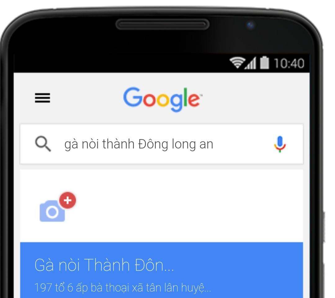 10 TRỨNG GÀ TRE ẤP NỞ CON GIỐNG .BỔN VIP