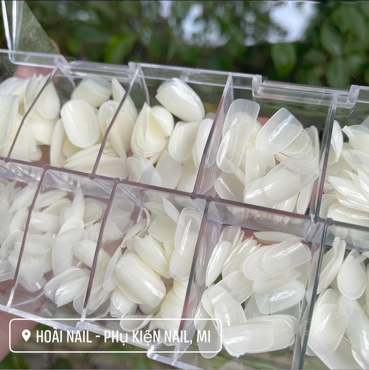 Móng úp hạt na ( hộp 500m)