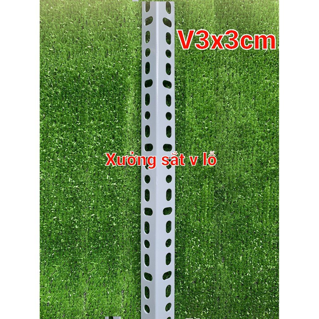 Cây 40cm - SẮT V LỖ ( V3x3cm)