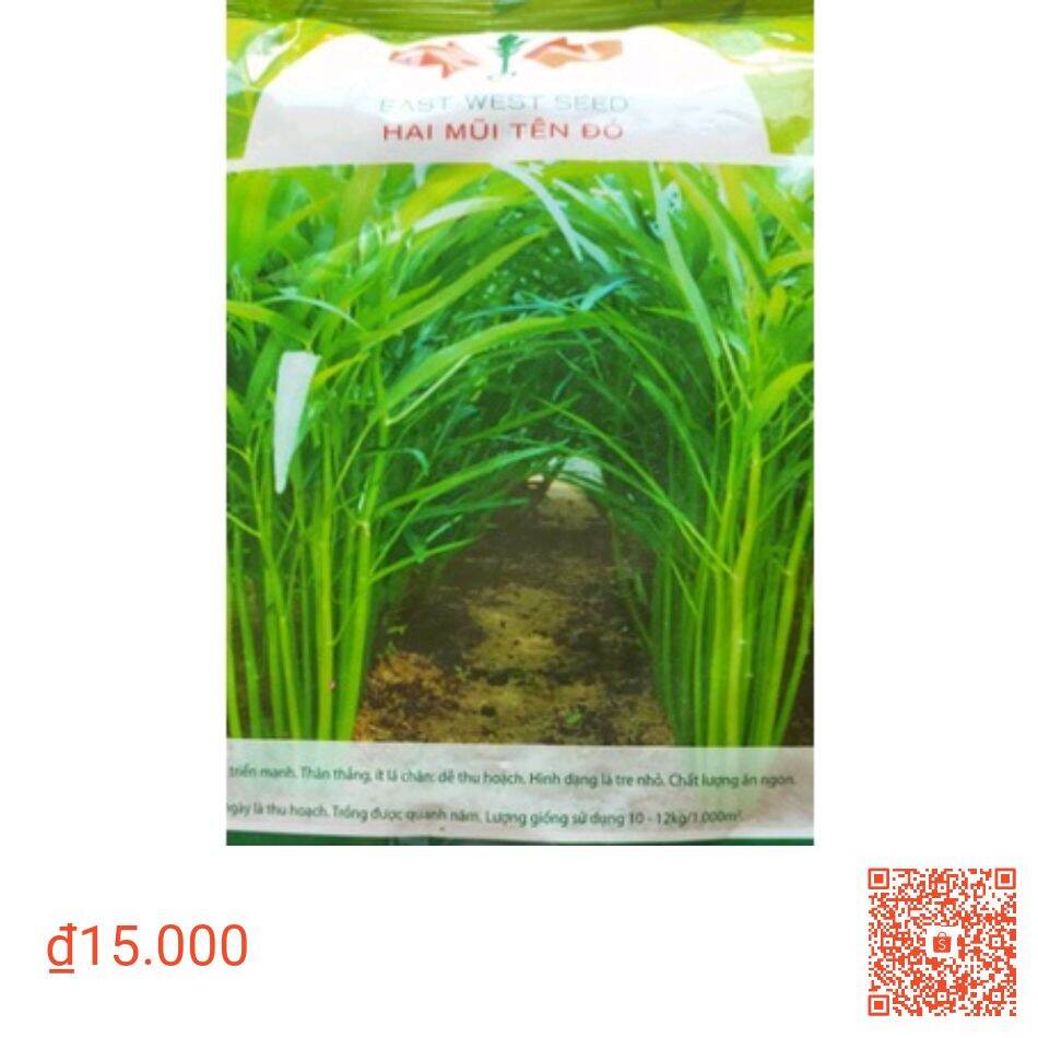 100g hạt giống rau muống
