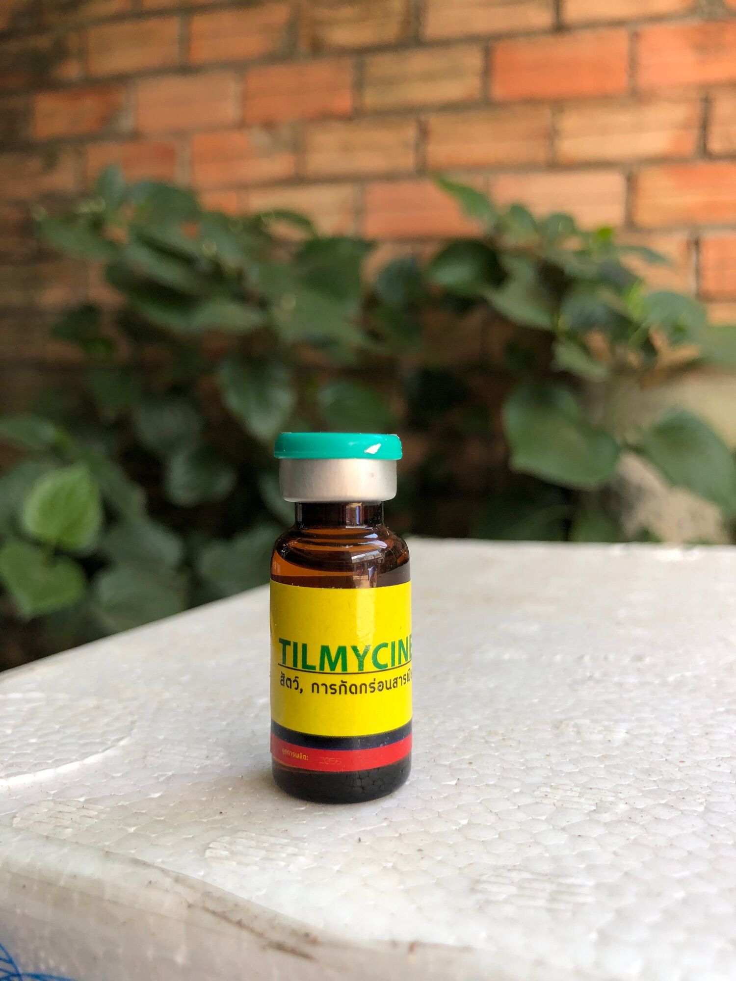 Tilmycine khò khè, khẹt, sổ mũi, sưng phù đầu