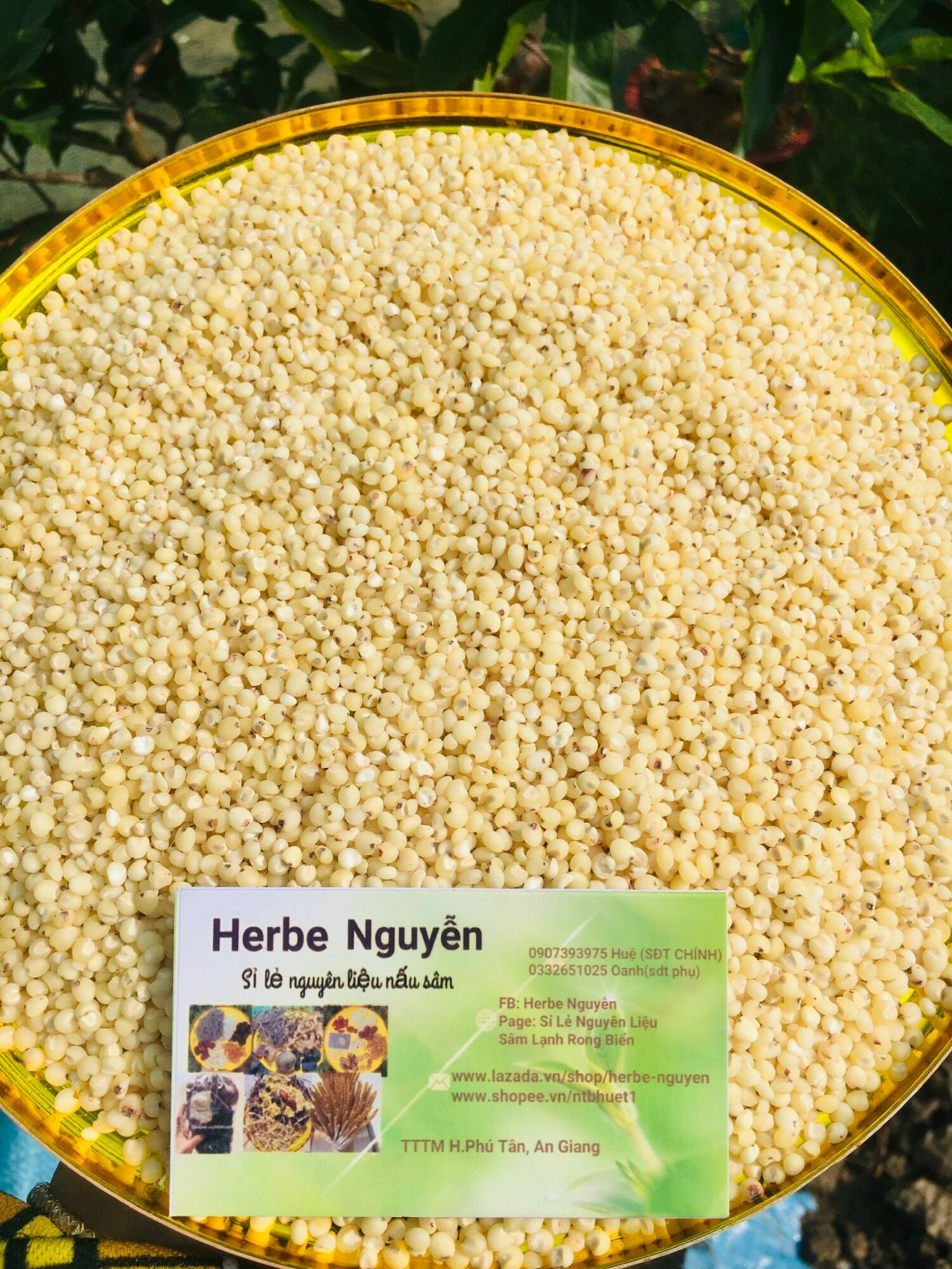 Ý dĩ - bo bo trắng -200g