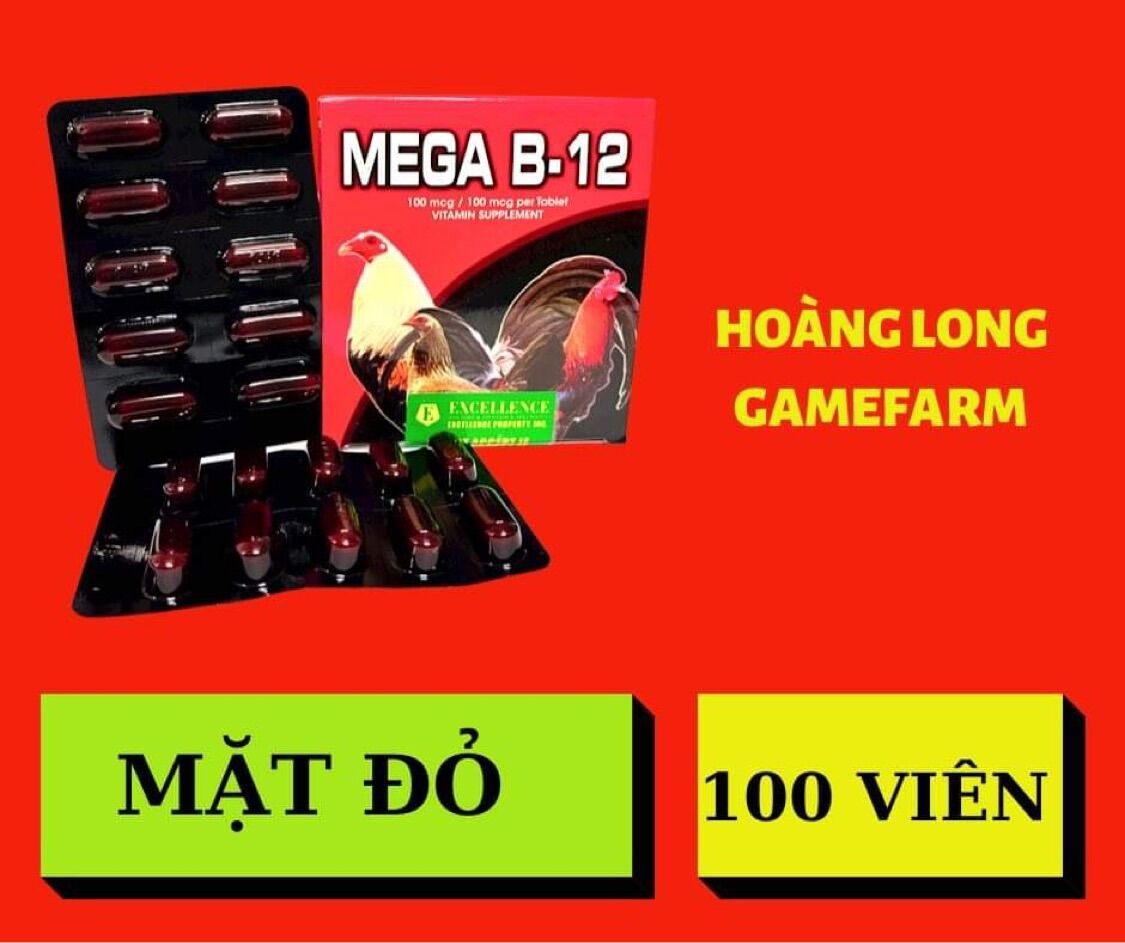 Mega b12 dinh dưỡng cho gà đá