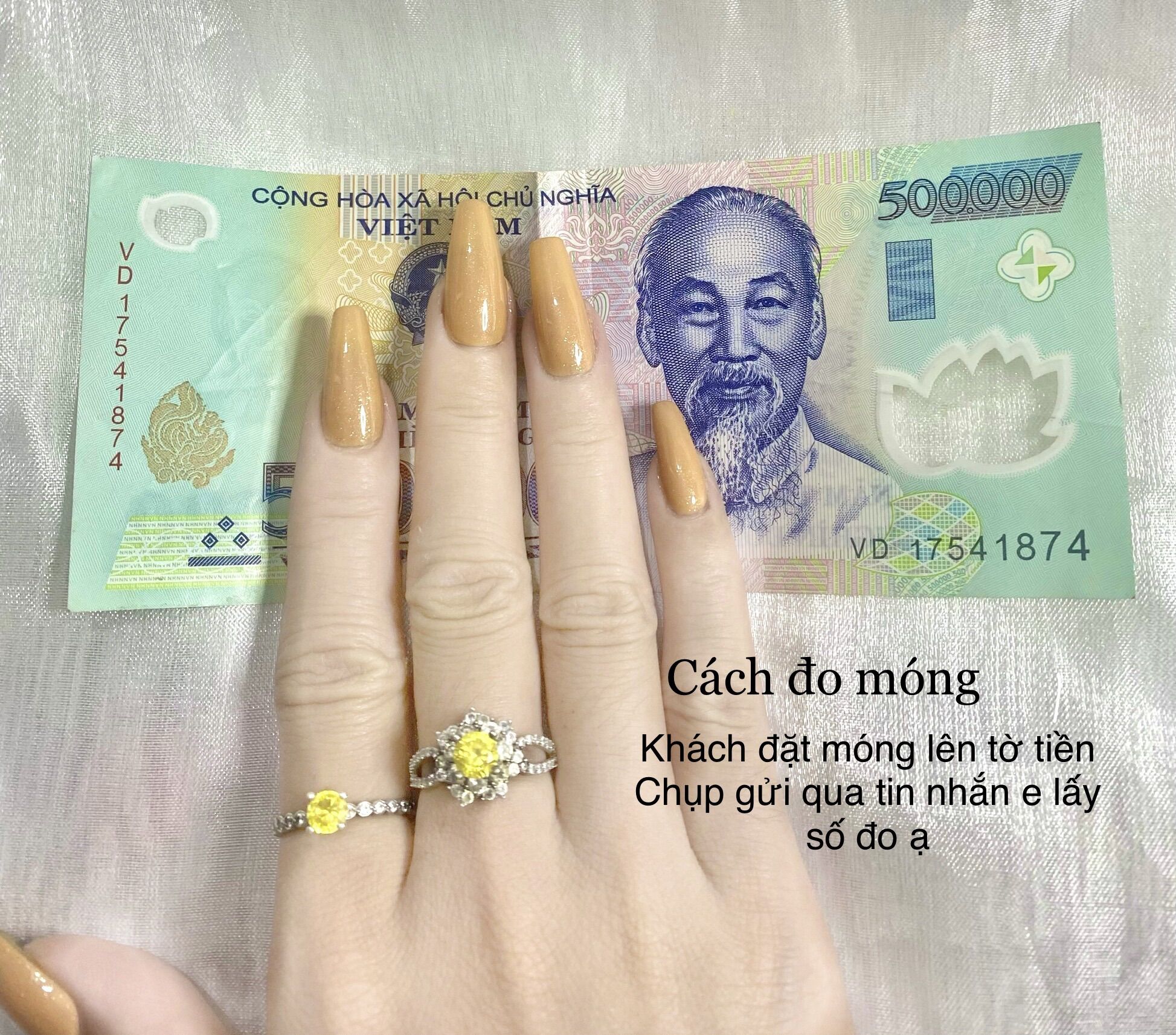 Nailbox thiết kế