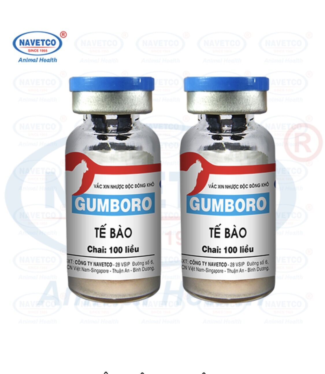 Ngừa gumboro cho gà liều 100 con.