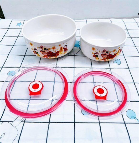 bộ 2 thố sứ có nắp( mẫu ngẩu nhiên)