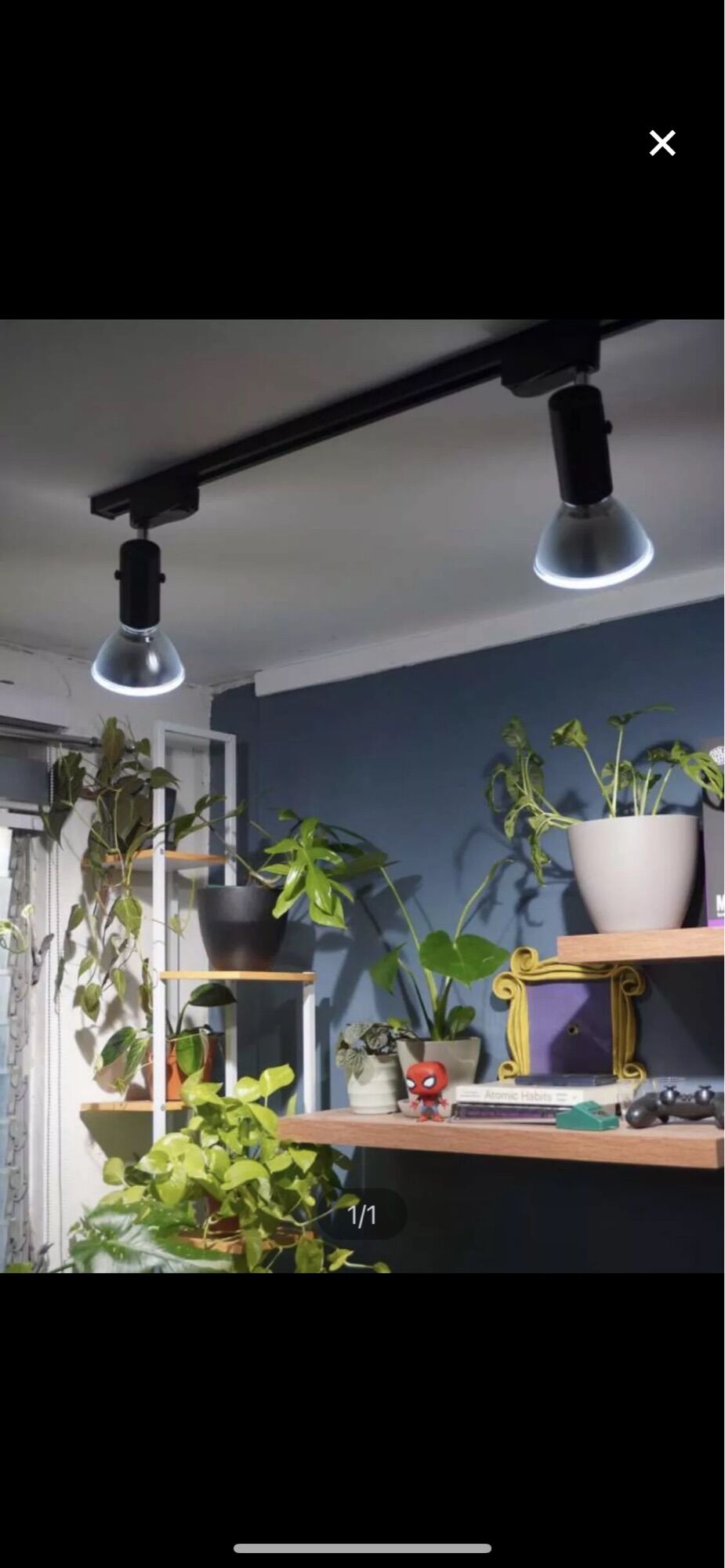 Đèn Led Chiếu Cây Philips Led Grow 16w Par38 E27