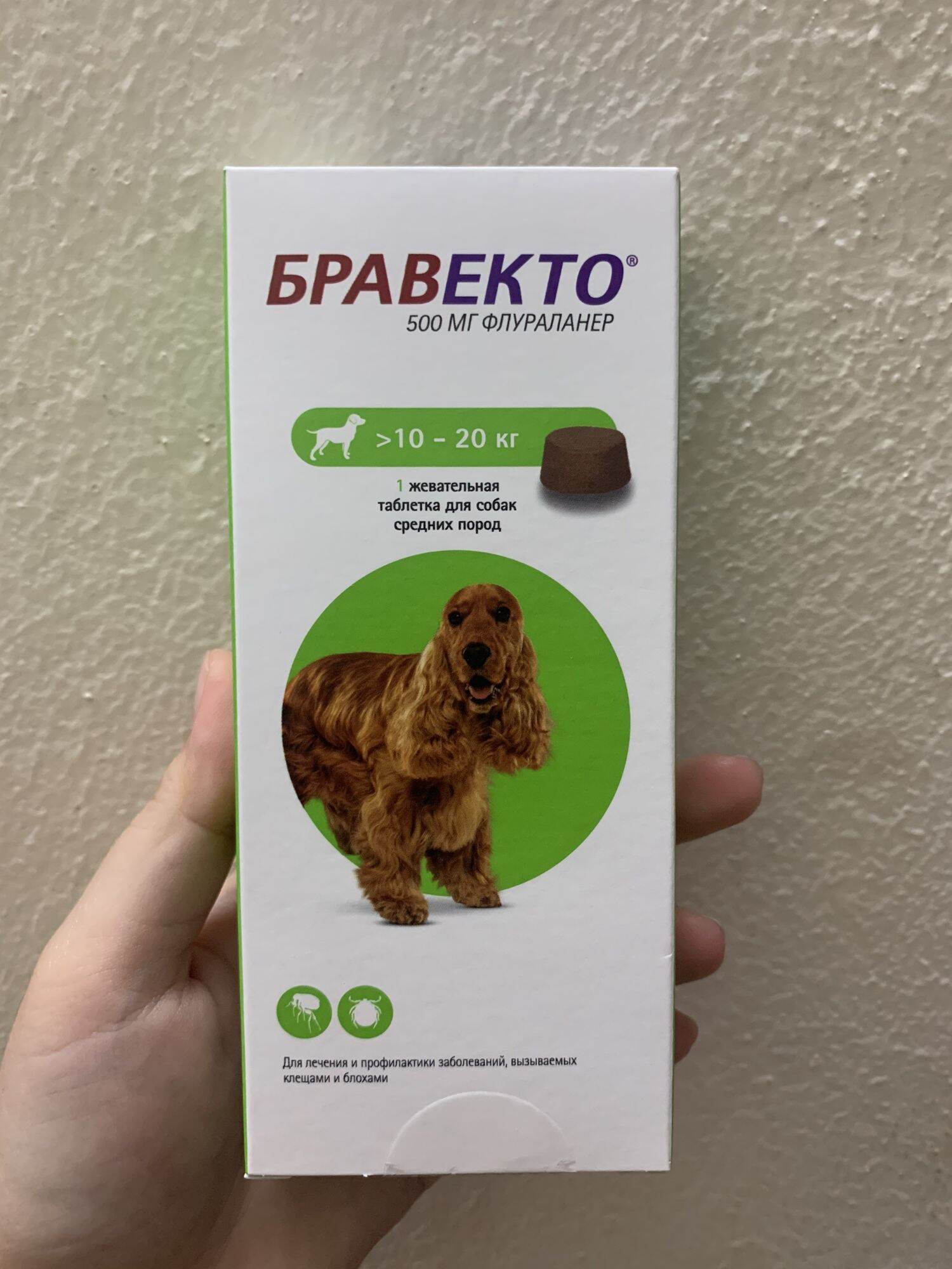 BRAVECTO- Dành cho chó từ 10-20kg thumbnail