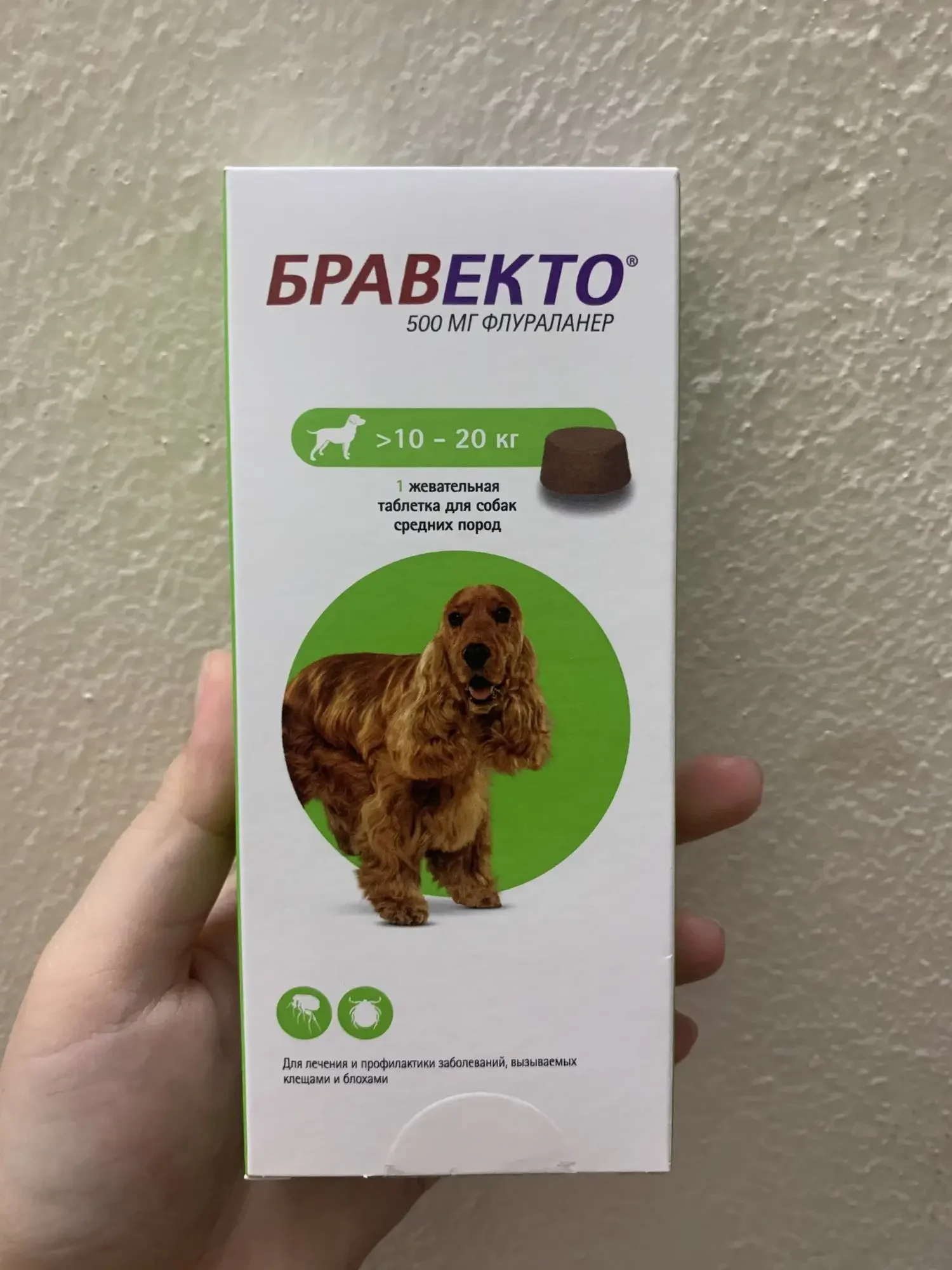 BRAVECTO- Dành cho chó từ 10-20kg