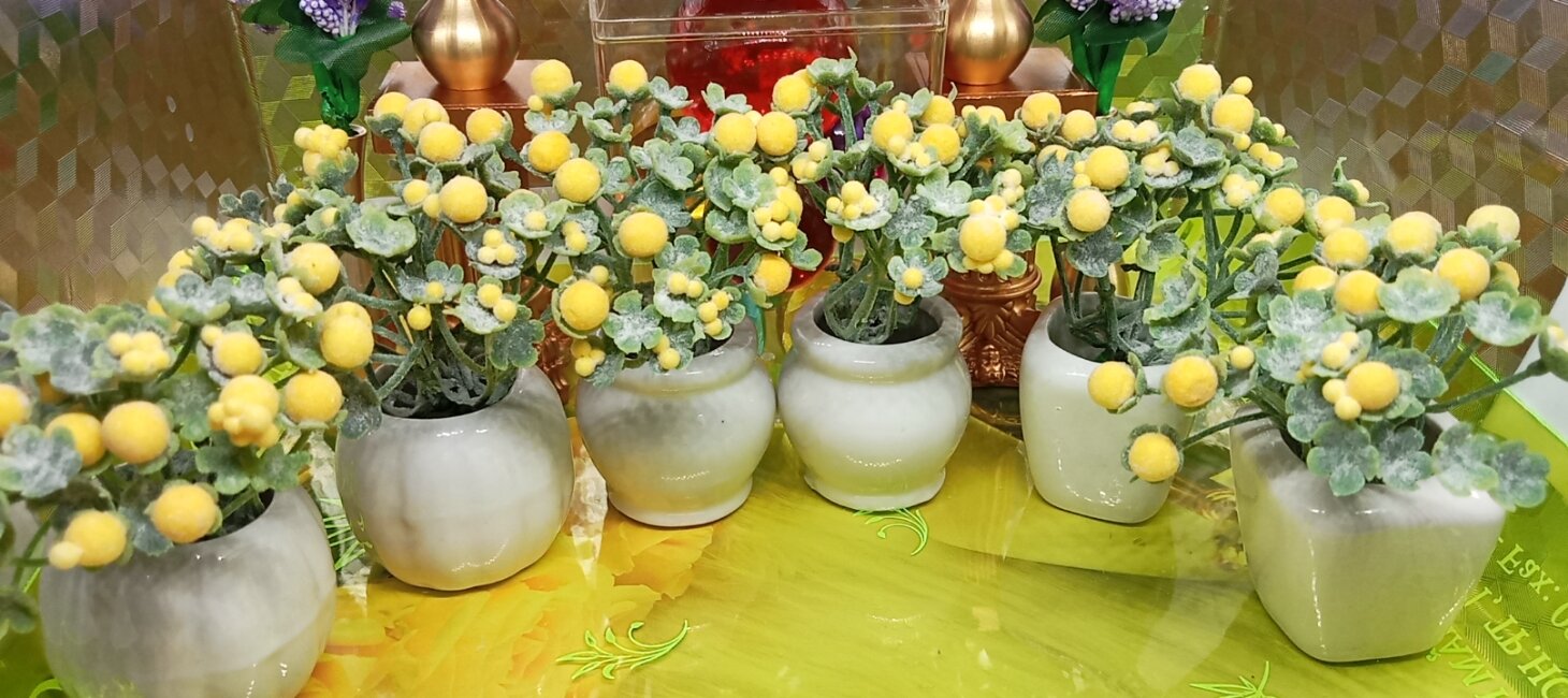 Chậu Cúc phiên bản mini