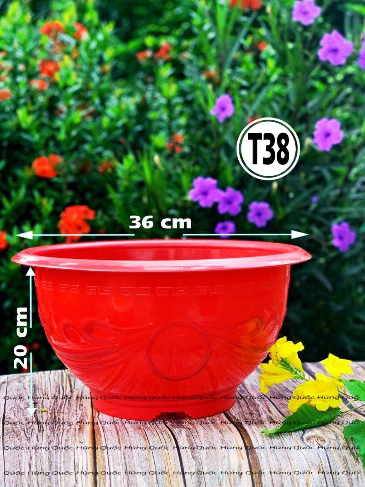 Chậu nhựa trồng cây T38