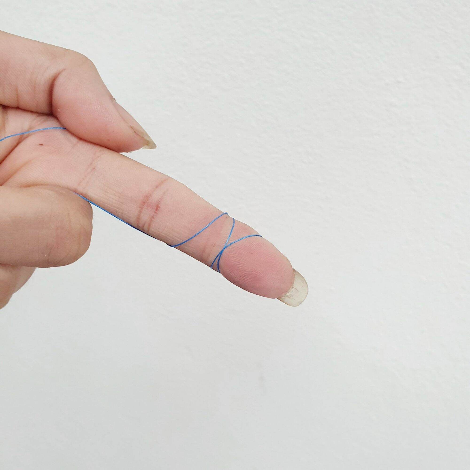 dây dù pe câu cá x8 con nhện