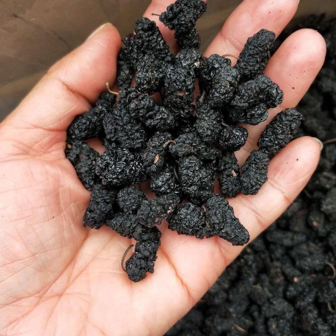 Dâu tằm sấy khô gói 100g