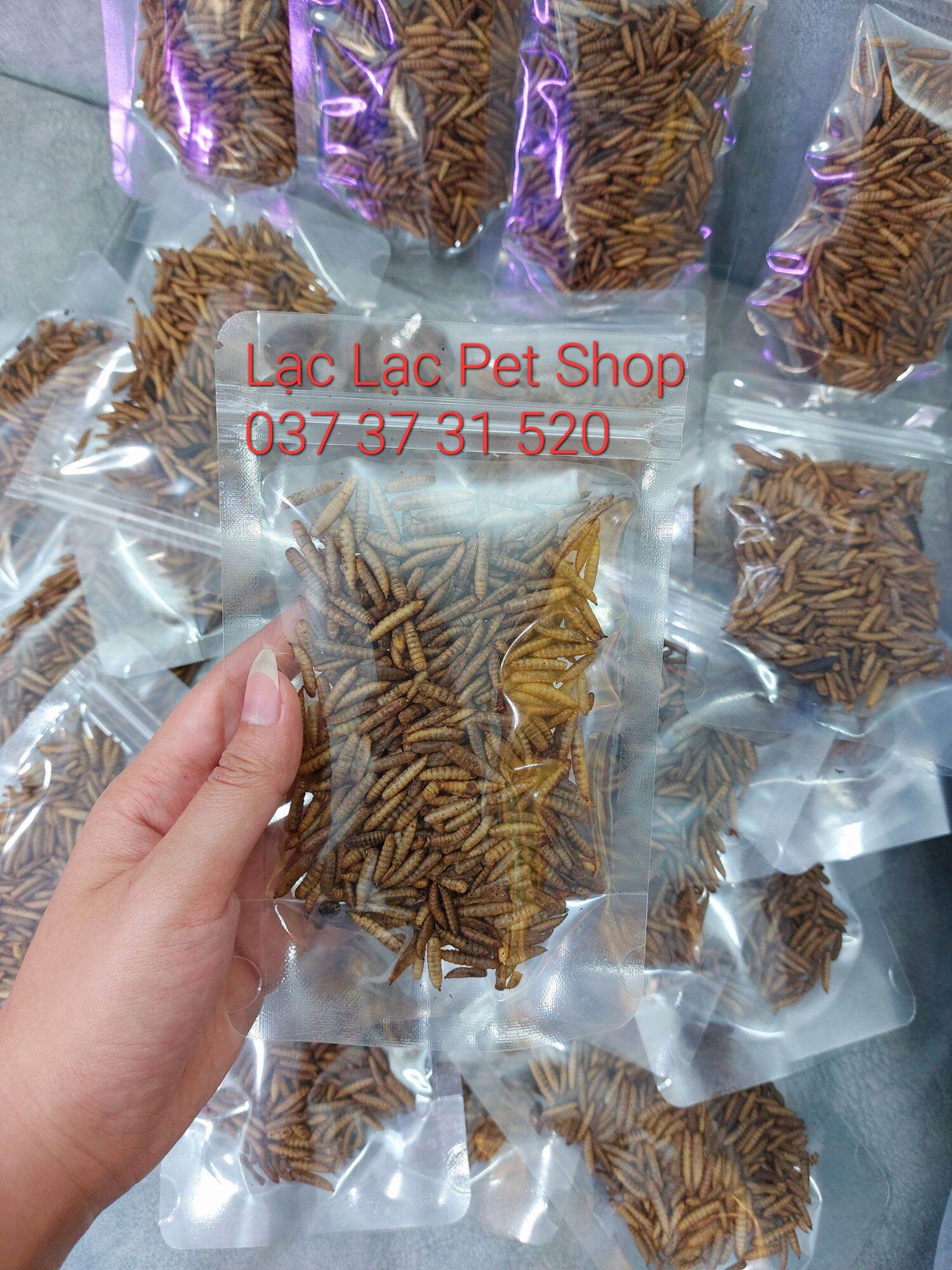 Sâu Gạo Sấy Khô cho Hamster - Thú cưng