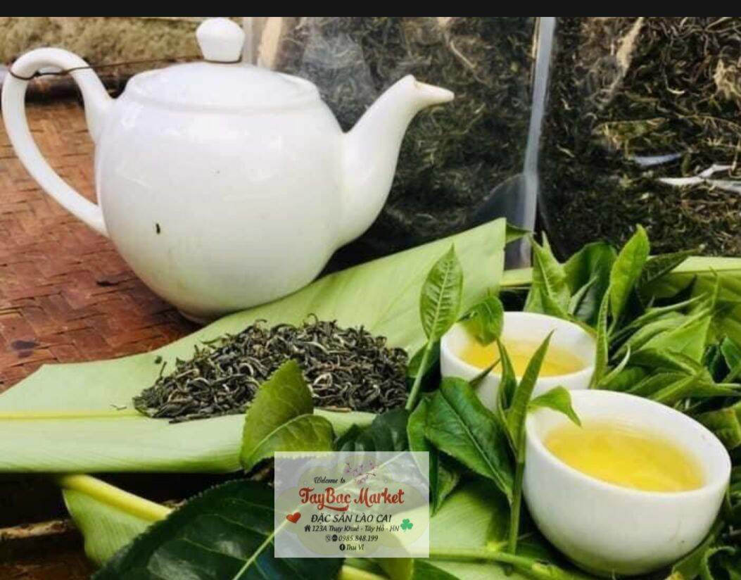 Trà shan tuyết bắc hà - lào cai