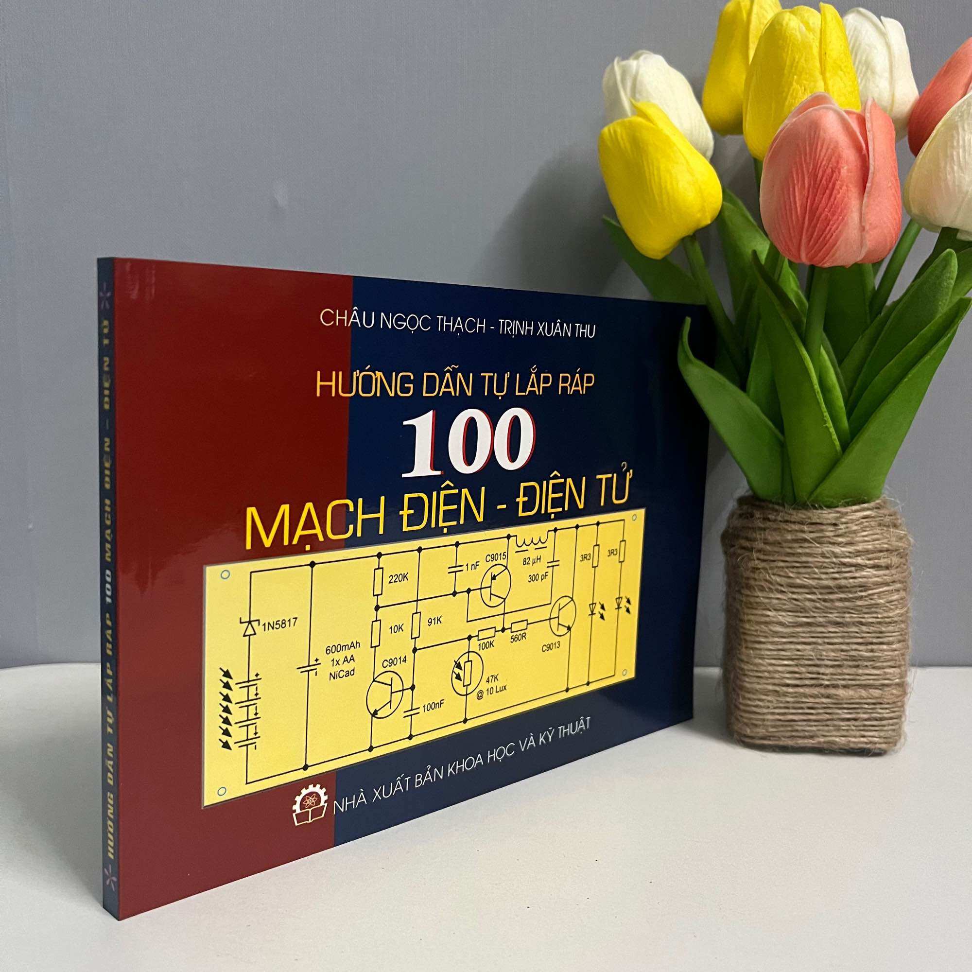 Hướng Dẫn Tự Lắp Ráp 100 Mạch Điện - Điện Tử