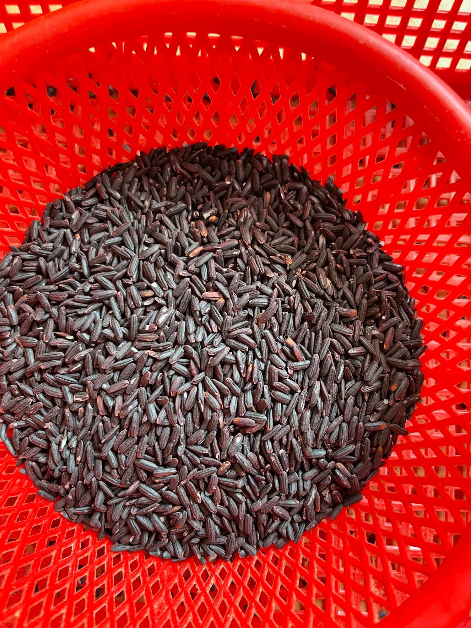 500gr Nếp cẩm (nếp than)