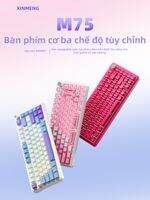 Bàn phím cơ không dây Xinmeng M75 3 chế độ hot-swappable RGB đèn nền gaming switch im lặng kết nối Bluetooth có dây 87 phím thiết kế nhỏ gọn