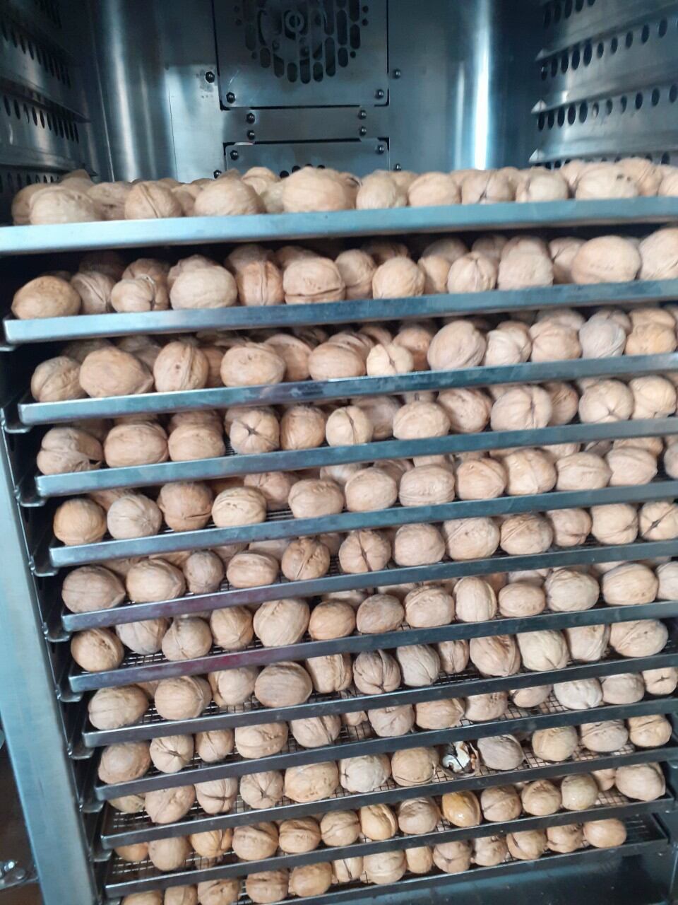 500gr nhân hạt óc chó đỏ nhập khẩu Mỹ