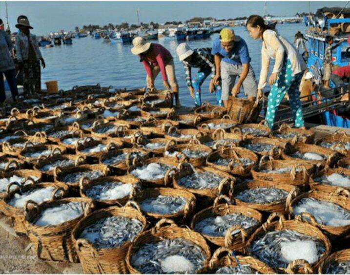 nước mắm nhĩ cá cơm cà ná ninh thuận