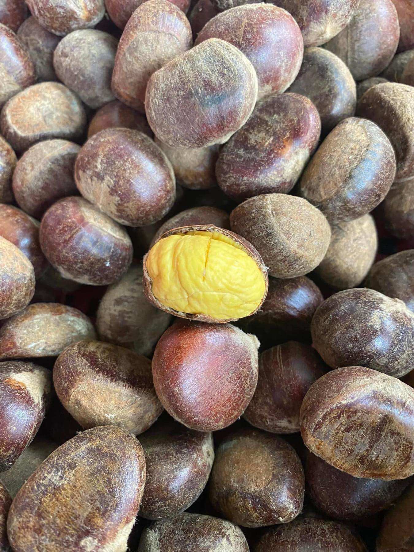 1kg HẠT DẺ TƯƠI Cao Bằng