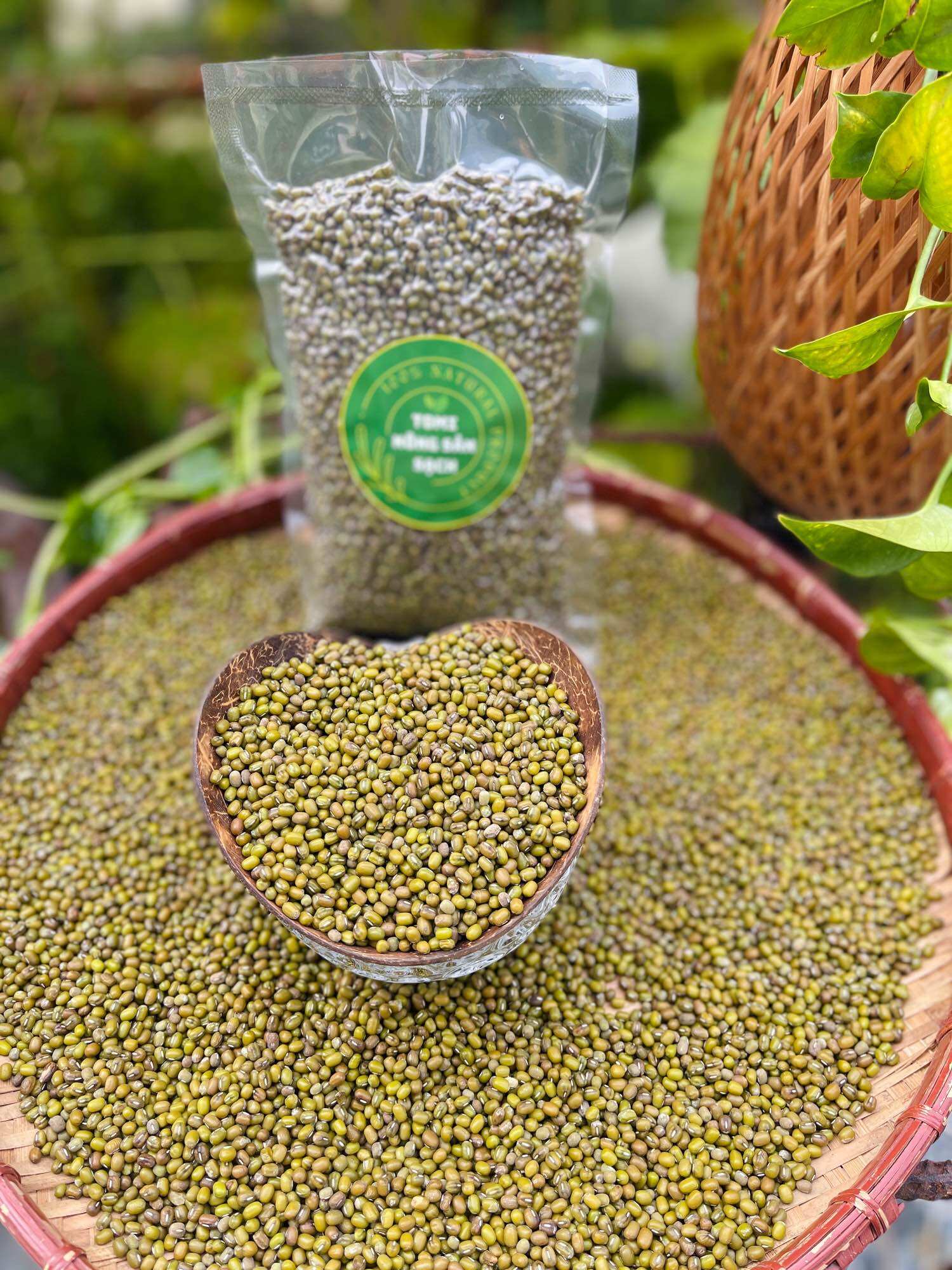 Đậu xanh hột tây ninh