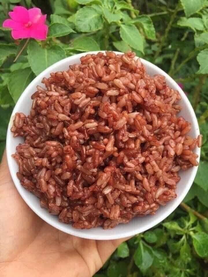 5kg gạo lứt đỏ dẻo Điện Biên ( lứt đỏ nương) mềm dẻo