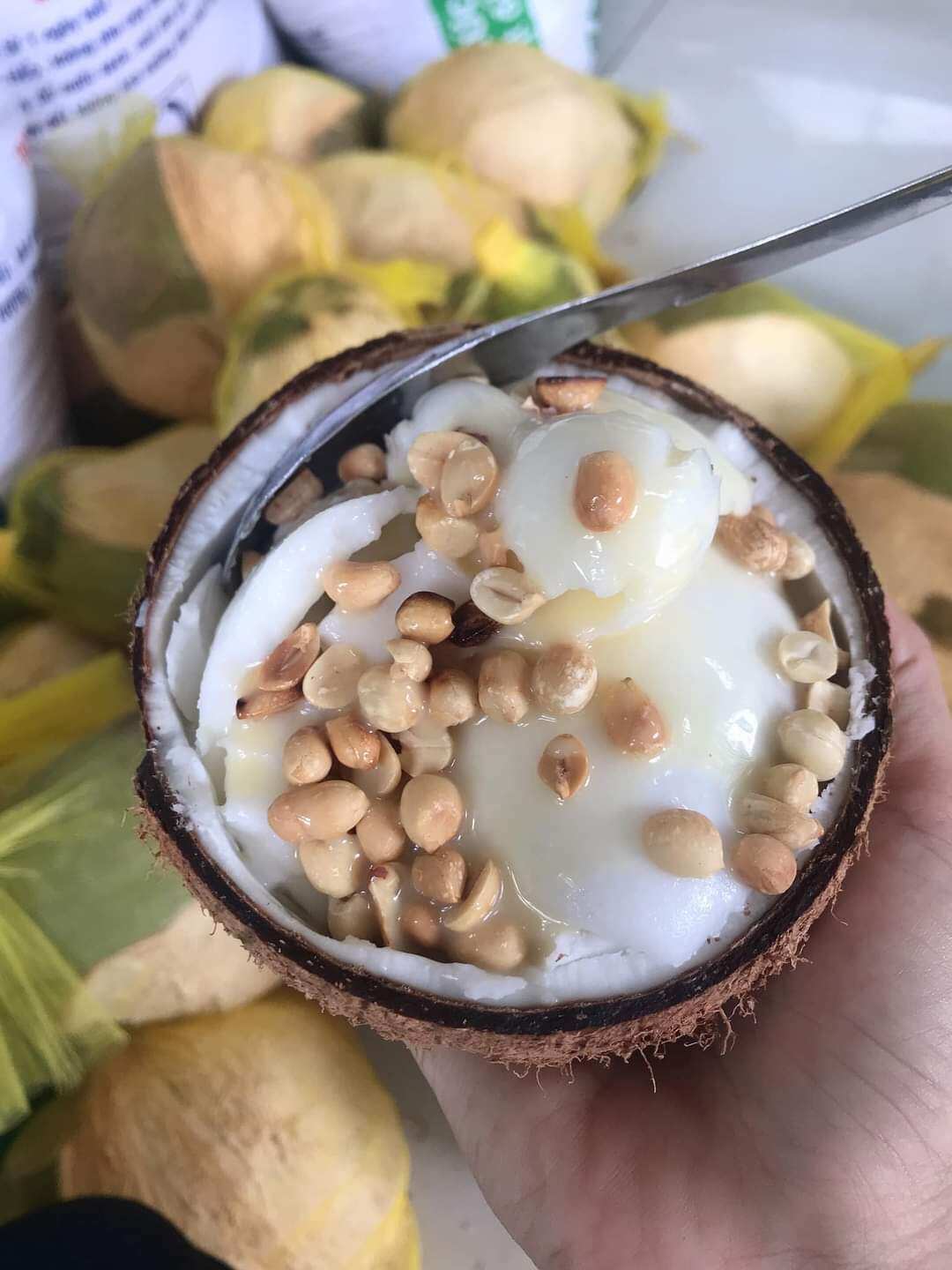 Dừa Sáp Đặc Sản Cầu Kè Trà Vinh ( Loại 3)