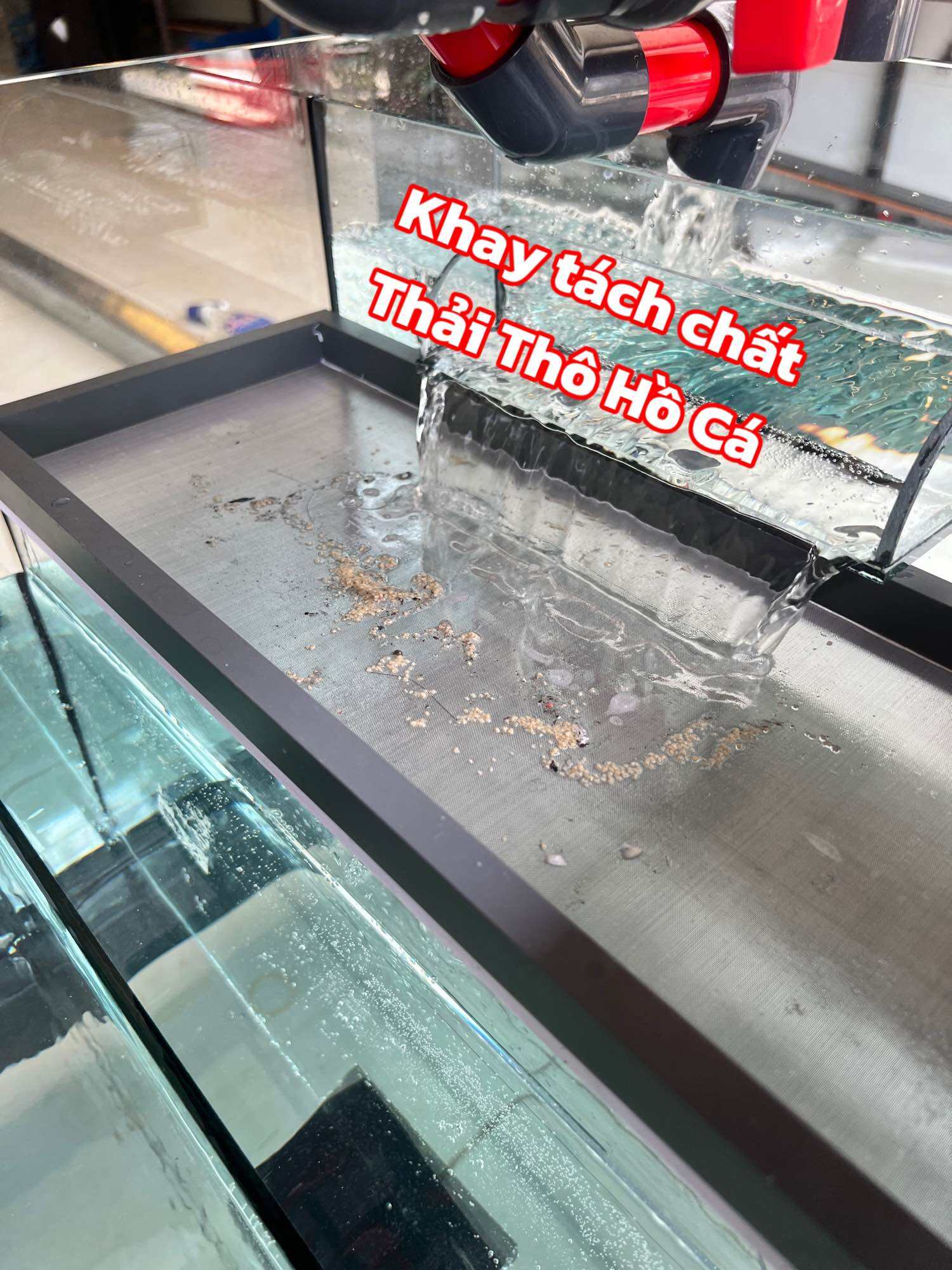 Khay Tách Phân Hồ Cá Đầy Đủ Kích Thước - Lưới inox dày