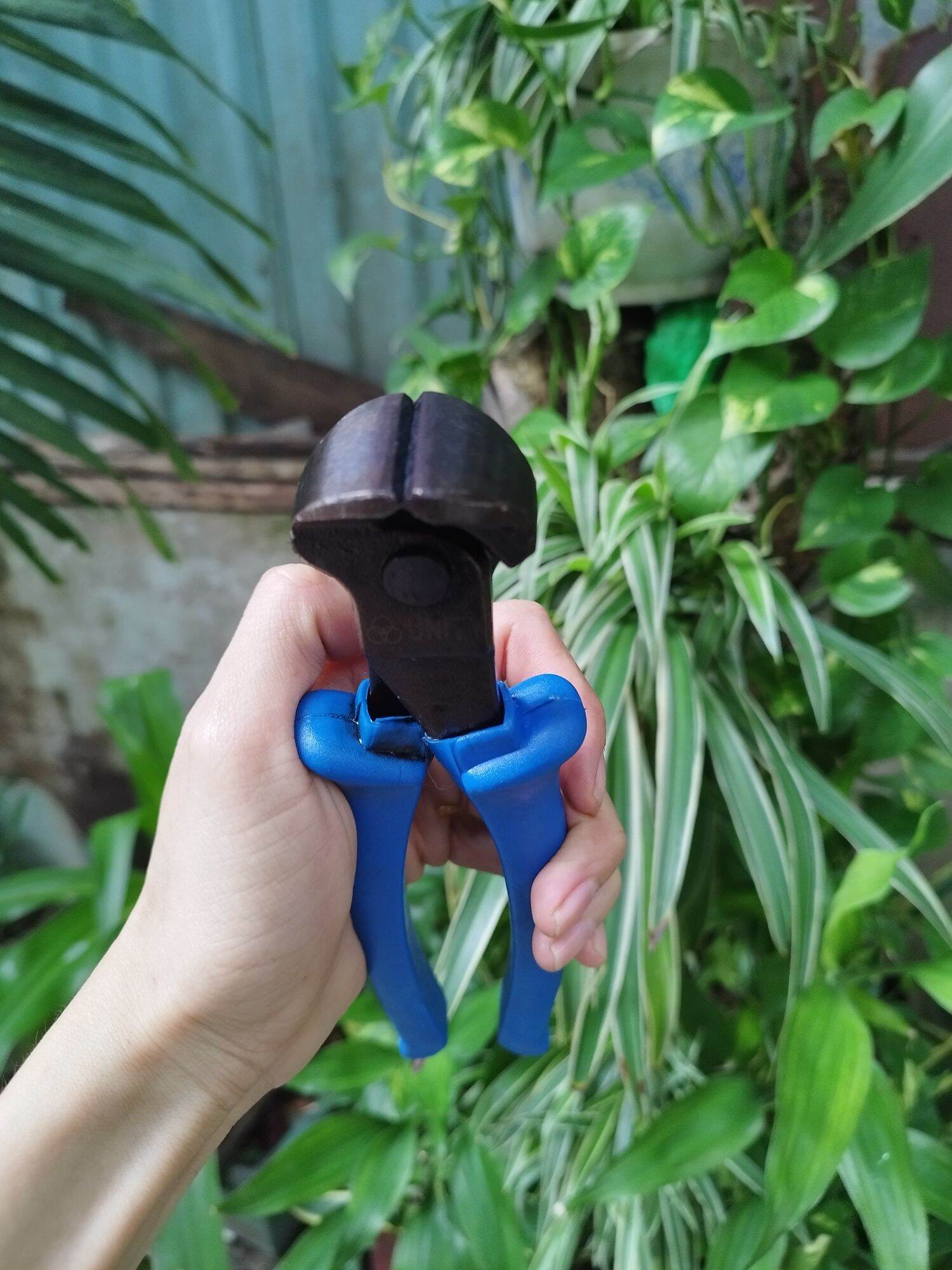 kìm cắt mép ( kìm cua) 8in