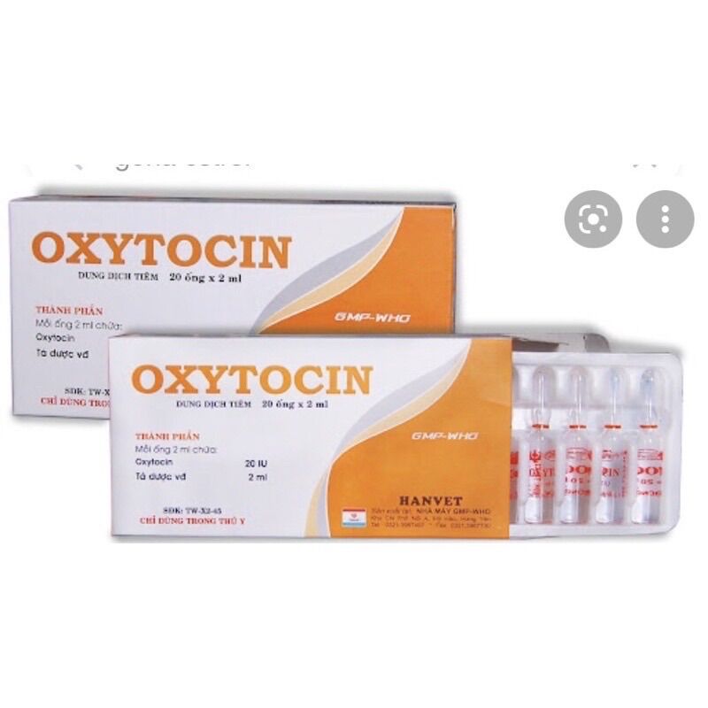 1 ống Oxytocin kích đẻ cho chó mèo 2ml