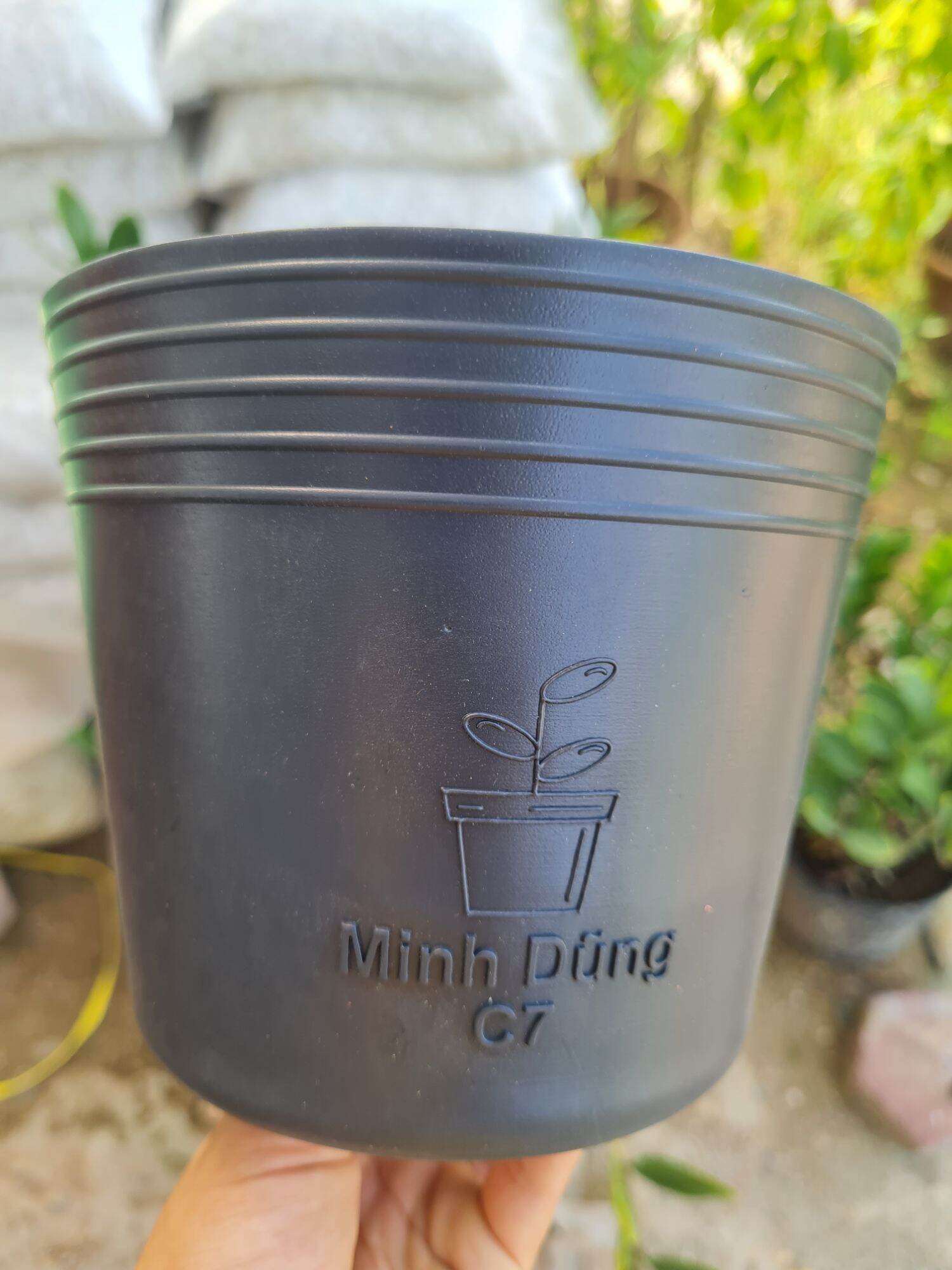 Bầu cứng ươm cây C7 kt 15x14cm