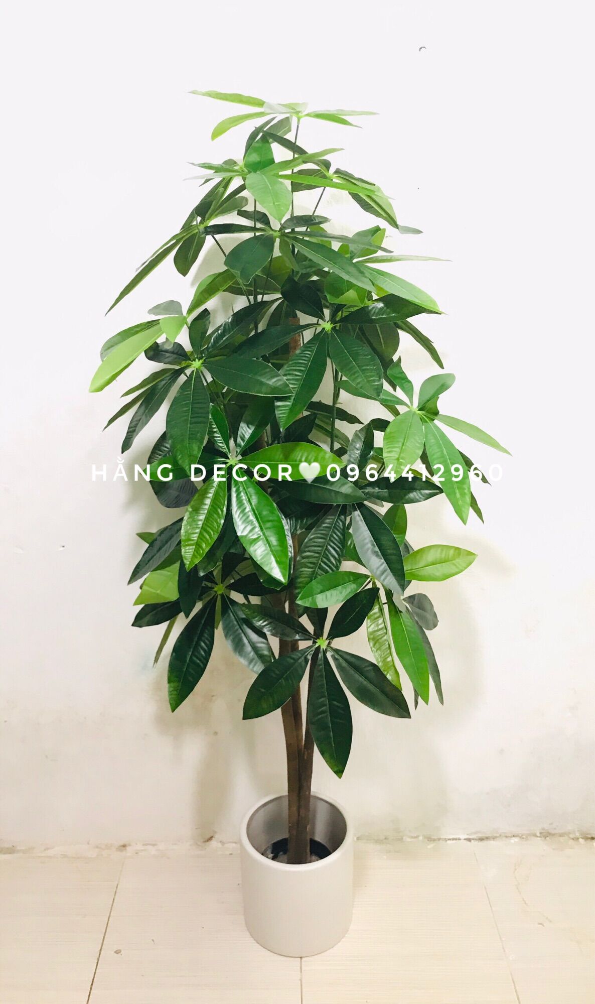 Cây giả- cây kim ngân giả trang trí nhà 1m5 hằng decor