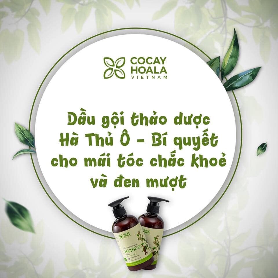 [ DATE 2023] Dầu gội thảo mộc Hà Thủ Ô dành cho tóc bạc