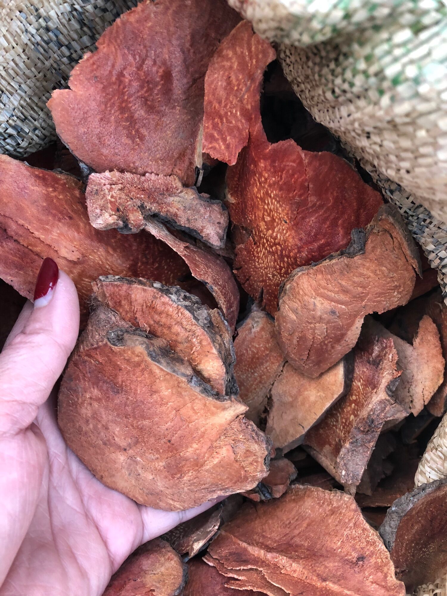 Khúc khắc đỏ ( Thổ Phục Linh 120k/2kg)