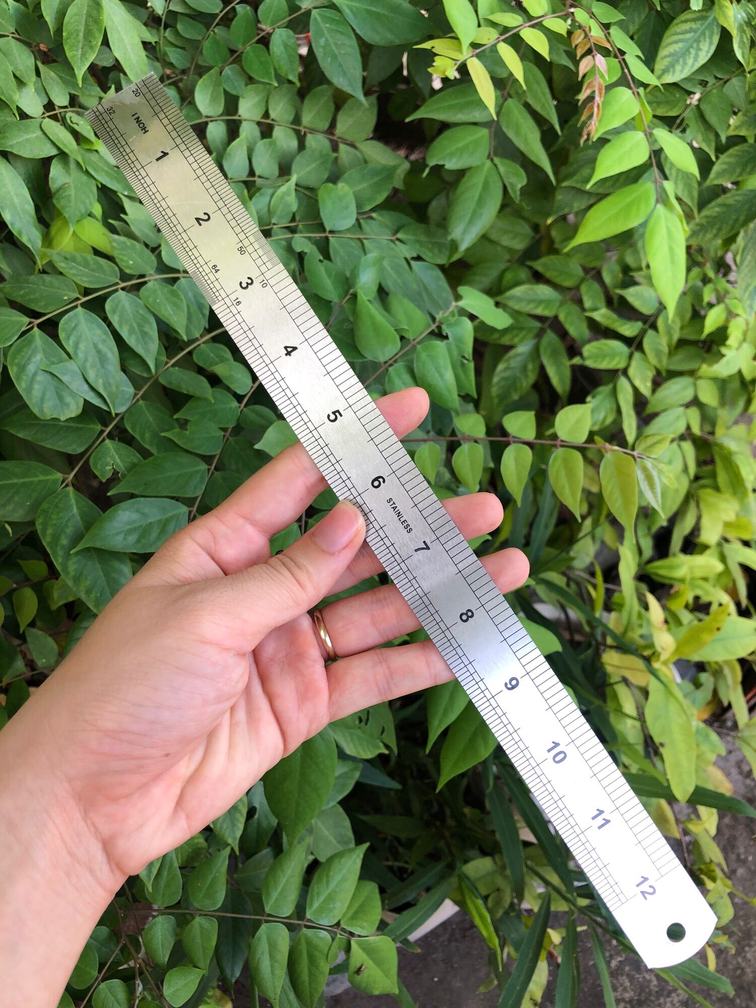📏Thước lá, thước thẳng 30cm(hàng chuẩn)