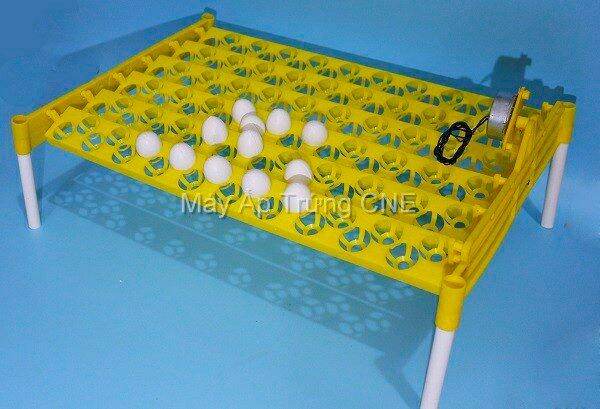 Khay đảo trứng cne gà, vịt, chim cút, bồ câu...